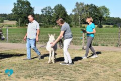 Eselteam-Niederrhein-Team-1
