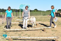 Eselteam-Niederrhein-Team-2