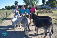 Eselteam-Niederrhein-Team-3