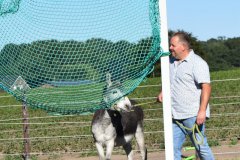 Eselteam-Niederrhein-Team-4