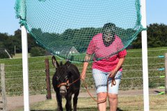 Eselteam-Niederrhein-Team-7