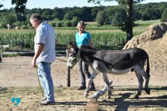 Eselteam-Niederrhein-Team-8
