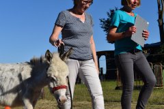 Eselteam-Niederrhein-Team-9