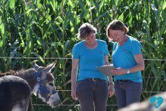 Eselteam-Niederrhein-Team-Besprechung
