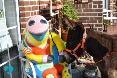 Henri-beim-Kreativhof